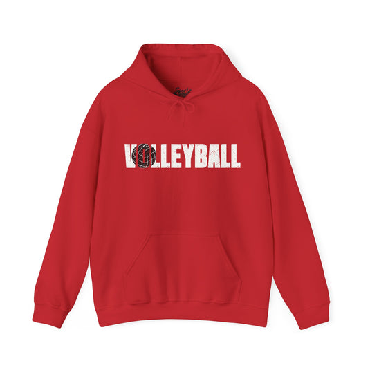 Volleyball Adult Unisex Hooded Sweatshirt