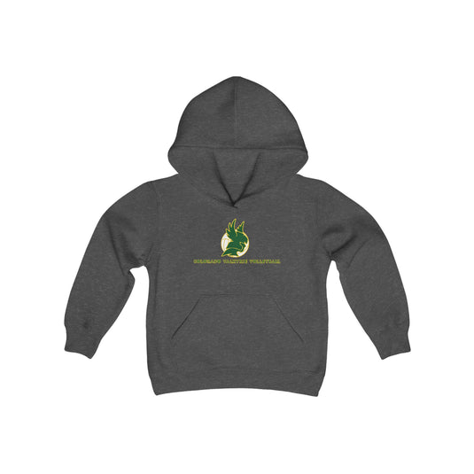 Colorado Valkyrie Volleyball Club Unisex Youth Hooded Sweatshirt