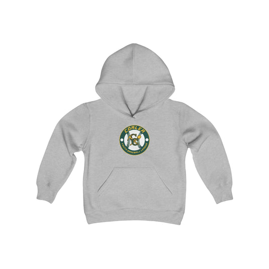Coaler Youth Baseball Unisex Youth Hooded Sweatshirt