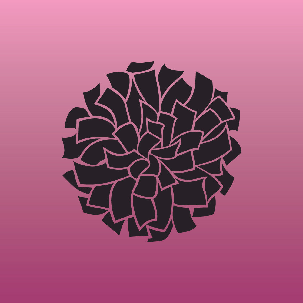 Cheer apparel and accessories