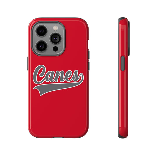 Palm Harbor Lady Canes Tough Cases