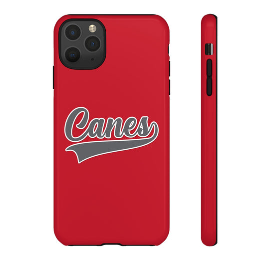 Palm Harbor Lady Canes Tough Cases