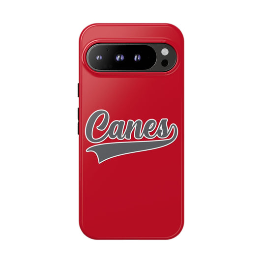 Palm Harbor Lady Canes Tough Cases