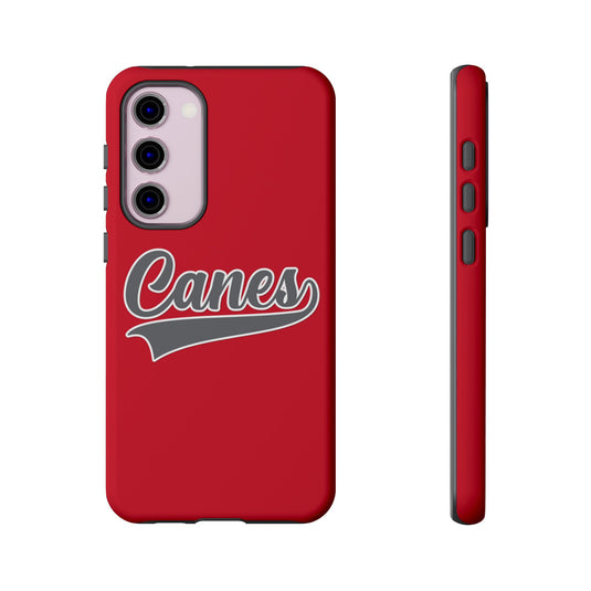 Palm Harbor Lady Canes Tough Cases