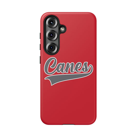 Palm Harbor Lady Canes Tough Cases