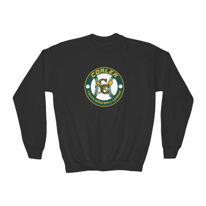 Coaler Youth Baseball Unisex Youth Crewneck Sweatshirt