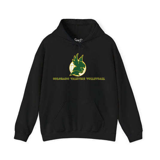 Colorado Valkyrie Volleyball Club Unisex Adult Basic Hooded Sweatshirt