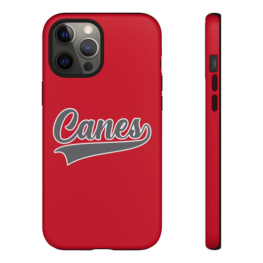 Palm Harbor Lady Canes Tough Cases