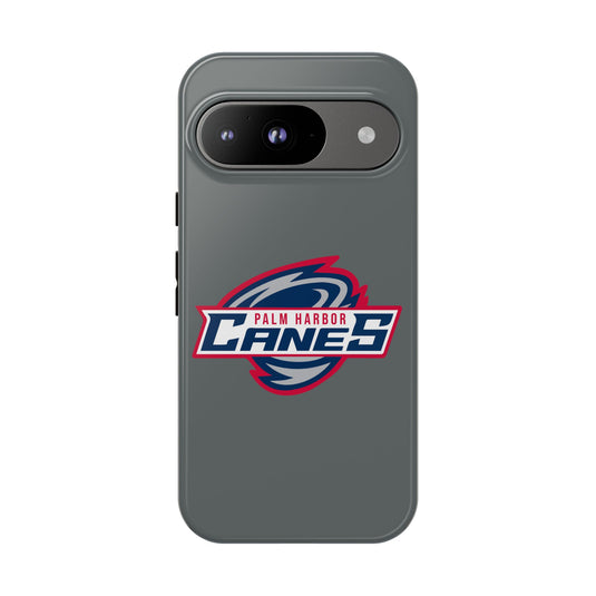 Palm Harbor Lady Canes Tough Cases