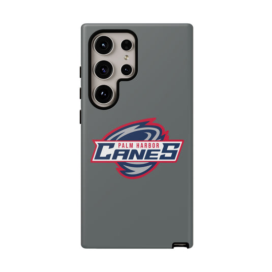 Palm Harbor Lady Canes Tough Cases
