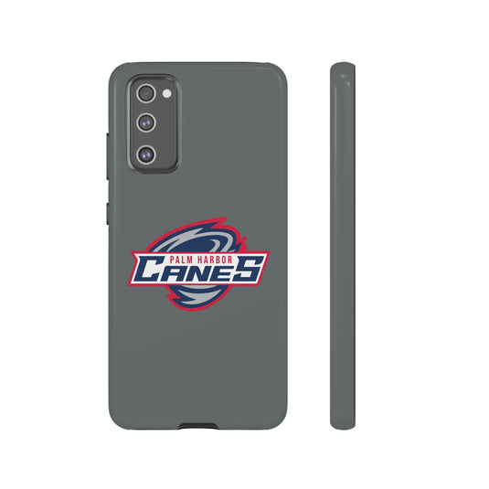 Palm Harbor Lady Canes Tough Cases