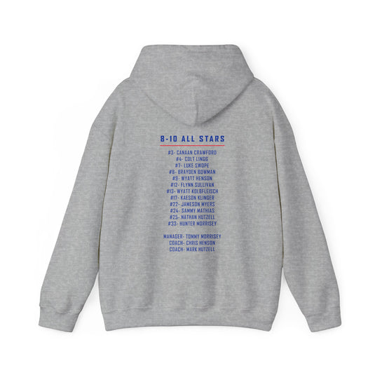 Valley Little League Baseball Unisex Adult Basic Hooded Sweatshirt - District Champions