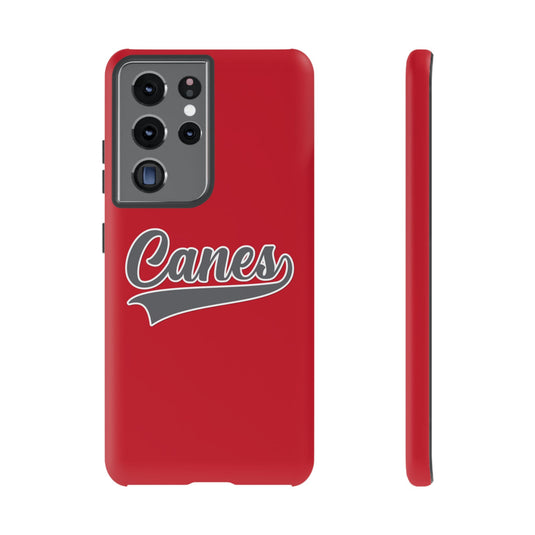 Palm Harbor Lady Canes Tough Cases