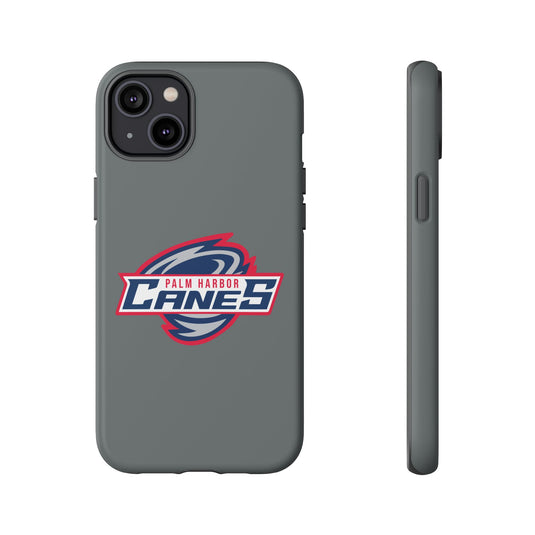 Palm Harbor Lady Canes Tough Cases