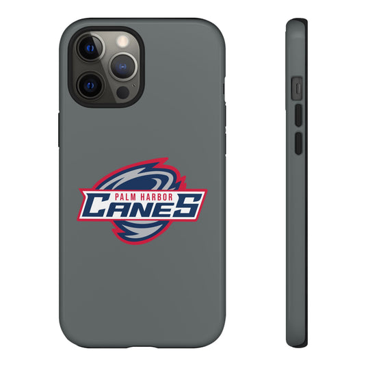 Palm Harbor Lady Canes Tough Cases