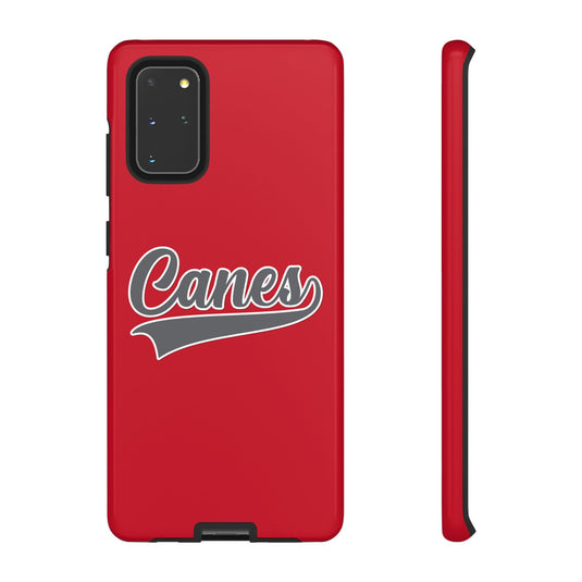 Palm Harbor Lady Canes Tough Cases