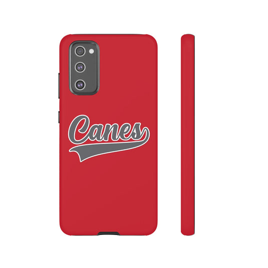 Palm Harbor Lady Canes Tough Cases