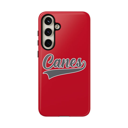 Palm Harbor Lady Canes Tough Cases