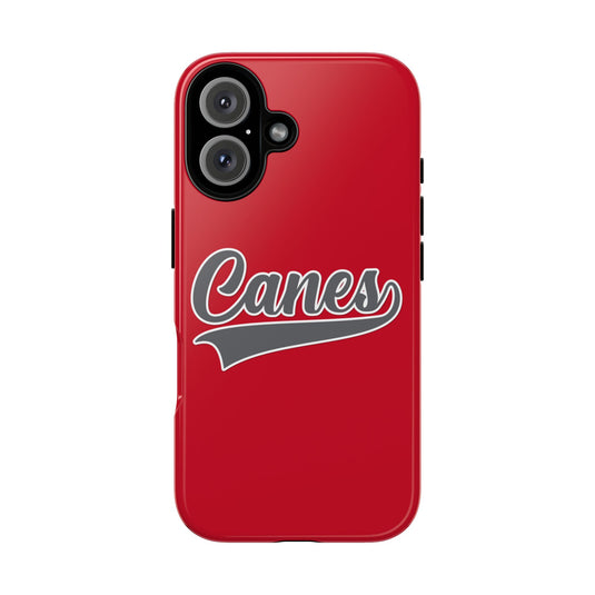 Palm Harbor Lady Canes Tough Cases