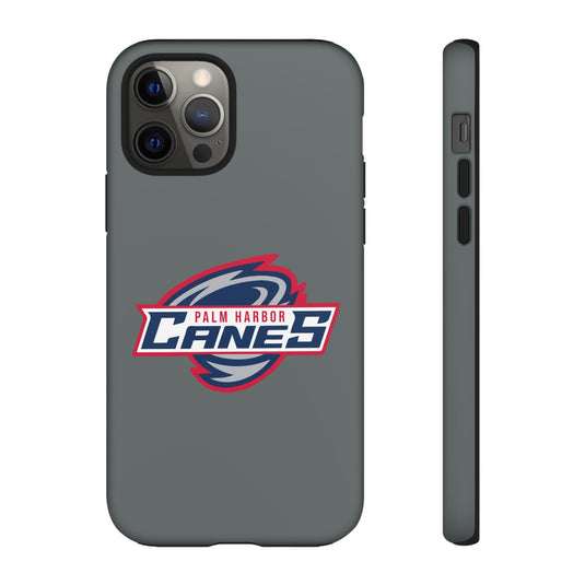 Palm Harbor Lady Canes Tough Cases