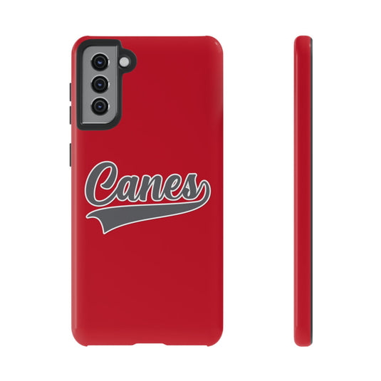 Palm Harbor Lady Canes Tough Cases