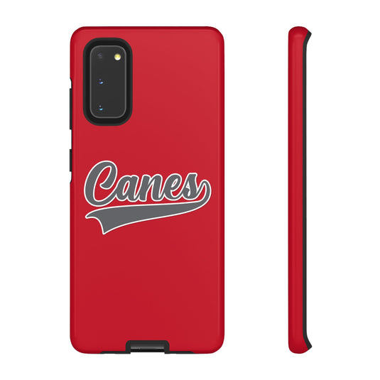 Palm Harbor Lady Canes Tough Cases