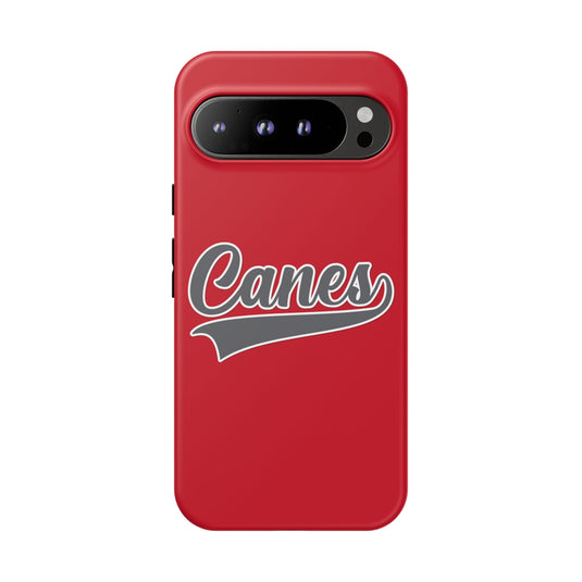 Palm Harbor Lady Canes Tough Cases