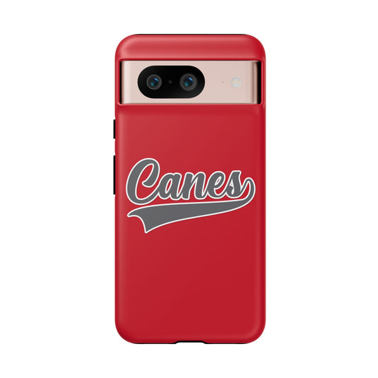 Palm Harbor Lady Canes Tough Cases