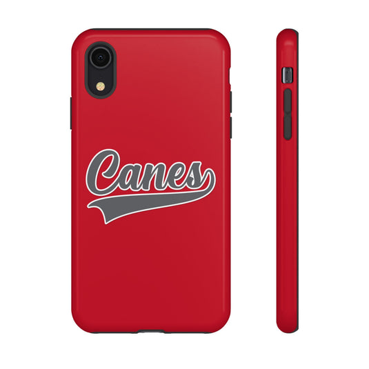 Palm Harbor Lady Canes Tough Cases
