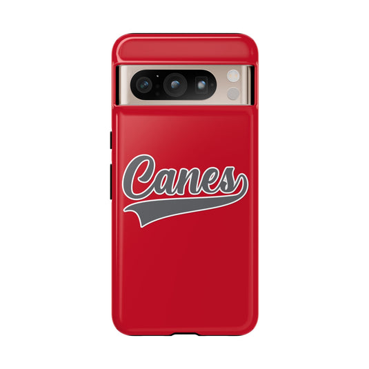 Palm Harbor Lady Canes Tough Cases