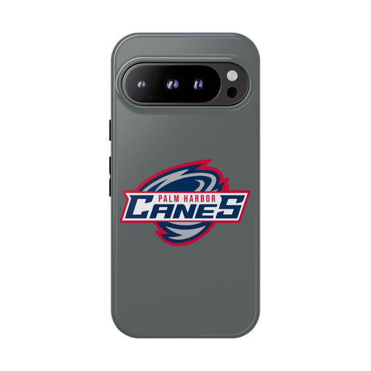 Palm Harbor Lady Canes Tough Cases