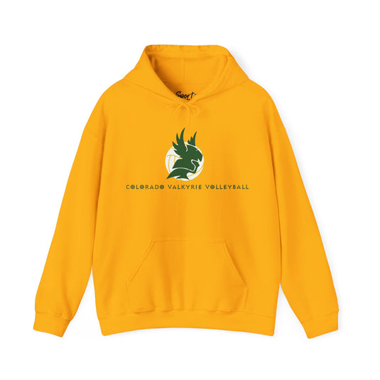 Colorado Valkyrie Volleyball Club Unisex Adult Basic Hooded Sweatshirt