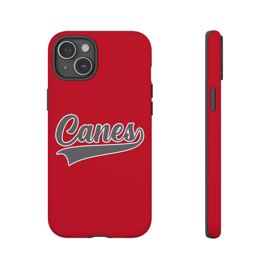 Palm Harbor Lady Canes Tough Cases