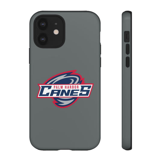 Palm Harbor Lady Canes Tough Cases