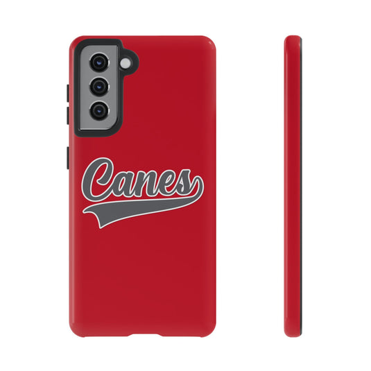 Palm Harbor Lady Canes Tough Cases