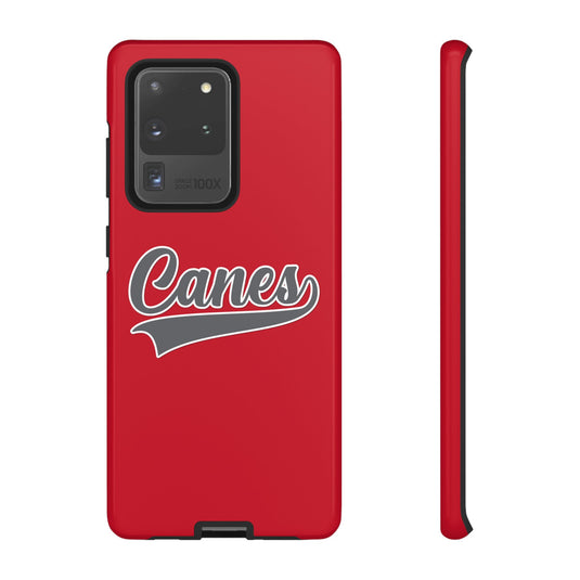 Palm Harbor Lady Canes Tough Cases