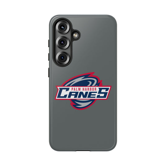 Palm Harbor Lady Canes Tough Cases