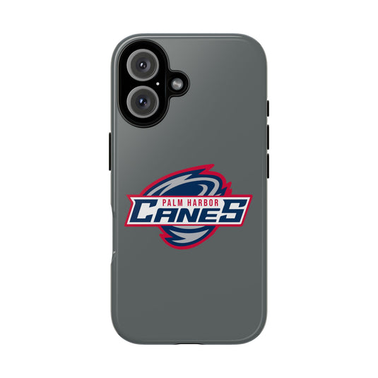 Palm Harbor Lady Canes Tough Cases
