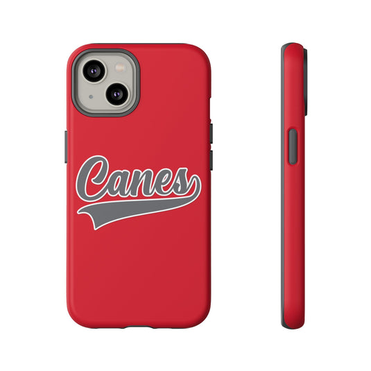 Palm Harbor Lady Canes Tough Cases
