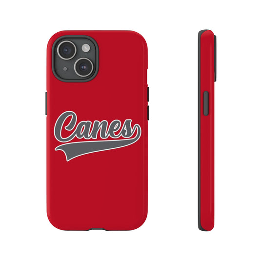 Palm Harbor Lady Canes Tough Cases