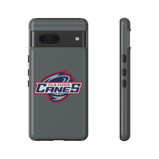 Palm Harbor Lady Canes Tough Cases