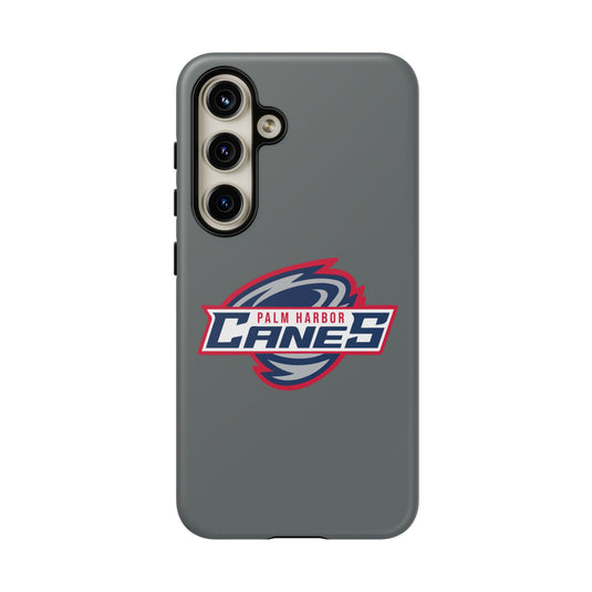 Palm Harbor Lady Canes Tough Cases