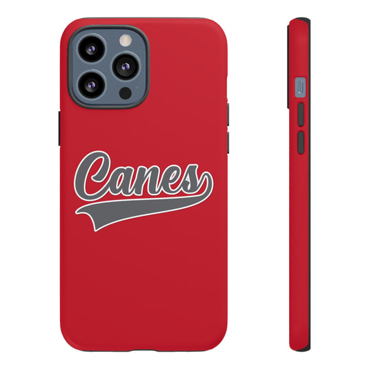 Palm Harbor Lady Canes Tough Cases