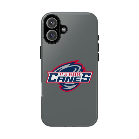 Palm Harbor Lady Canes Tough Cases