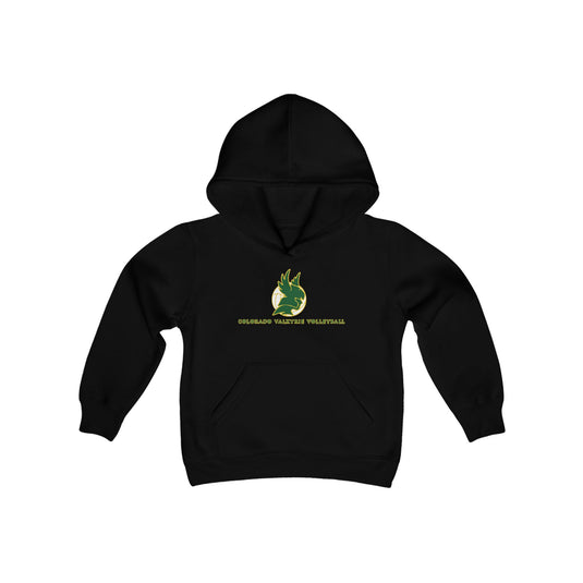 Colorado Valkyrie Volleyball Club Unisex Youth Basic Hooded Sweatshirt