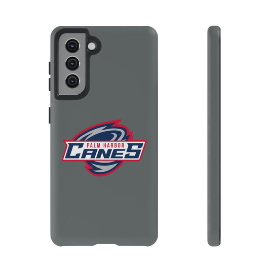 Palm Harbor Lady Canes Tough Cases