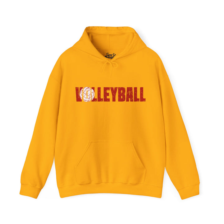 Volleyball Adult Unisex Hooded Sweatshirt