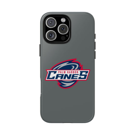 Palm Harbor Lady Canes Tough Cases
