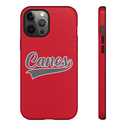 Palm Harbor Lady Canes Tough Cases