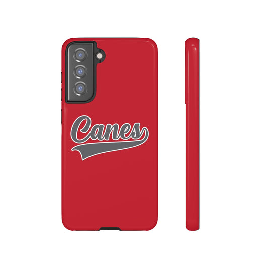Palm Harbor Lady Canes Tough Cases
